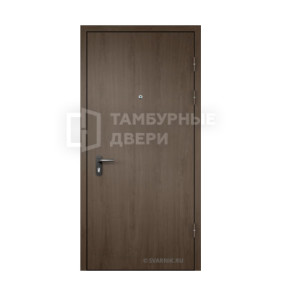 Дверь тамбурная ТД-39